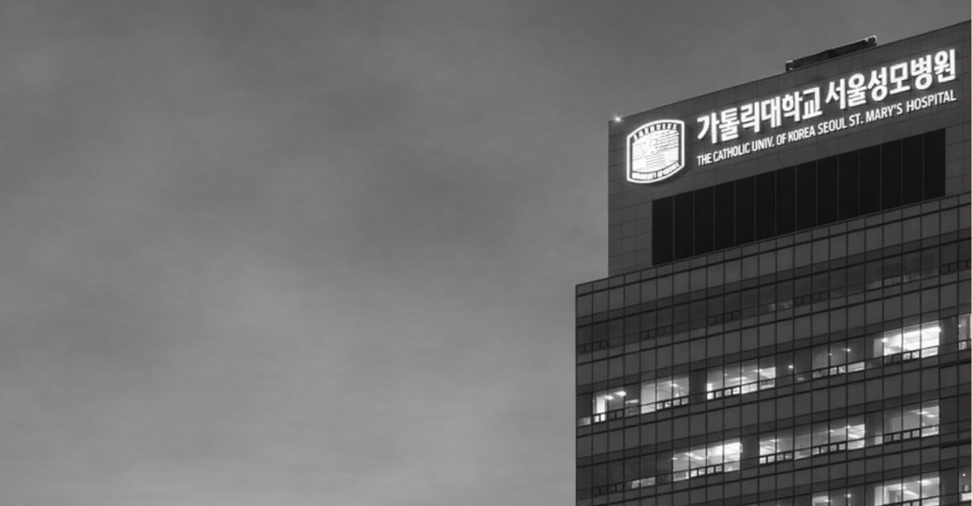서울성모병원 건물 이미지